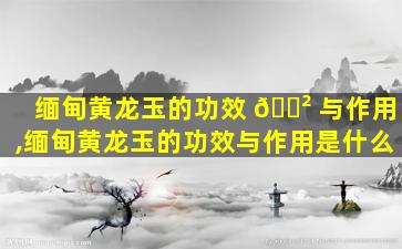 缅甸黄龙玉的功效 🌲 与作用,缅甸黄龙玉的功效与作用是什么